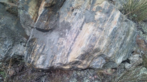 Гигантские зелёные валуны для ландшафтного дизайна весом более 5 тонн купить в Усть-Катаве