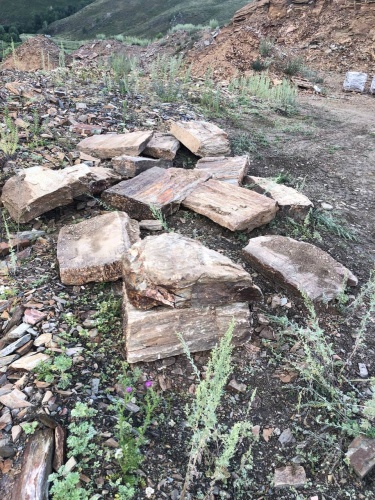 Плитняк кора дерева 50-100мм для пошаговых дорожек купить в Усть-Катаве